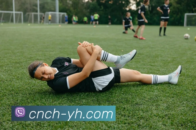 App Interface Preview